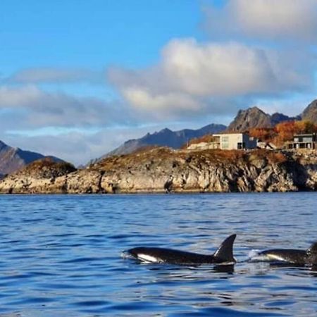 Amazing Seaview Lodge, カベルヴォーグ エクステリア 写真
